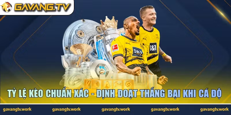 Tỷ Lệ Kèo Chuẩn Xác – Định Đoạt Thắng Bại Khi Cá Độ